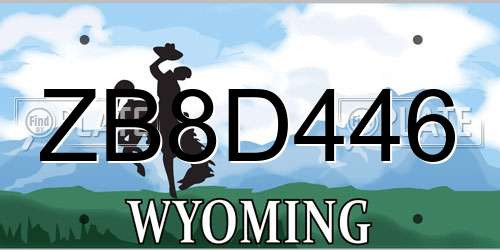 ZB8D446 Wyoming License Plate