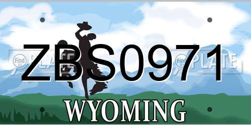 ZBS0971 Wyoming License Plate