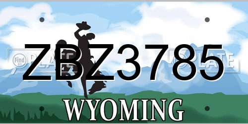 ZBZ3785 Wyoming License Plate