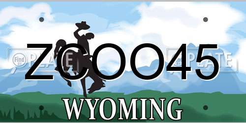 ZCOO45 Wyoming License Plate