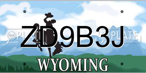 ZD9B3J Wyoming License Plate