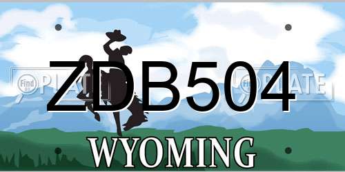 ZDB504 Wyoming License Plate