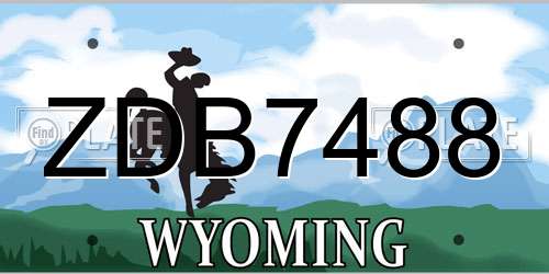 ZDB7488 Wyoming License Plate