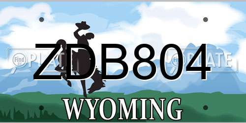 ZDB804 Wyoming License Plate