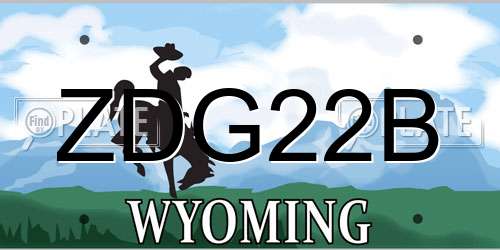 ZDG22B Wyoming License Plate
