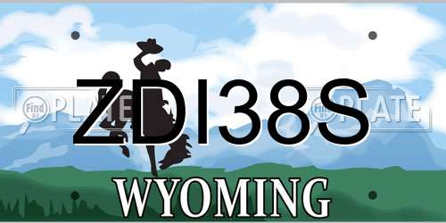 ZDI38S Wyoming License Plate