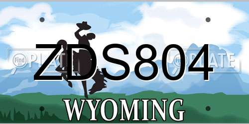 ZDS804 Wyoming License Plate