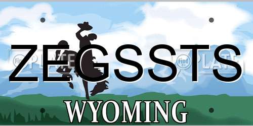 ZEGSSTS Wyoming License Plate