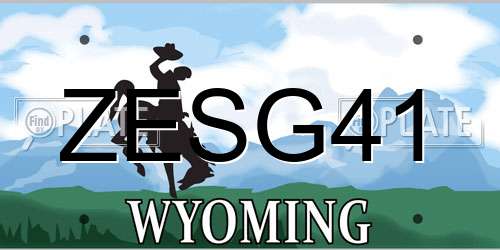 ZESG41 Wyoming License Plate