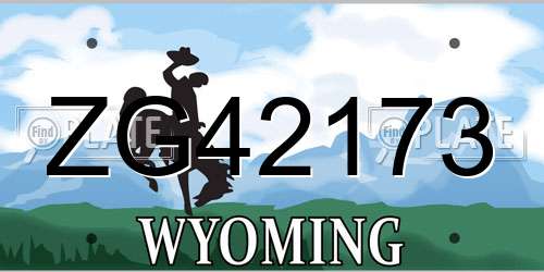 ZG42173 Wyoming License Plate