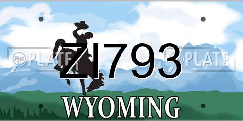 ZI793 Wyoming License Plate