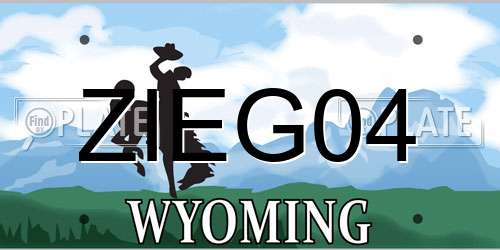 ZIEG04 Wyoming License Plate