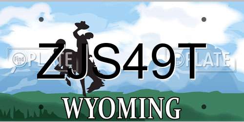 ZJS49T Wyoming License Plate