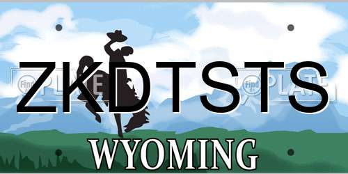 ZKDTSTS Wyoming License Plate