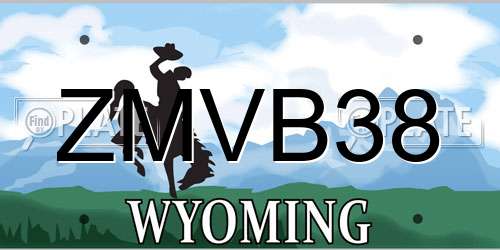 ZMVB38 Wyoming License Plate