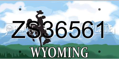 ZS36561 Wyoming License Plate