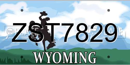 ZST7829 Wyoming License Plate