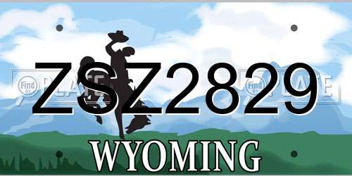 ZSZ2829 Wyoming License Plate