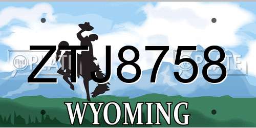 ZTJ8758 Wyoming License Plate