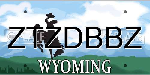 ZTZDBBZ Wyoming License Plate