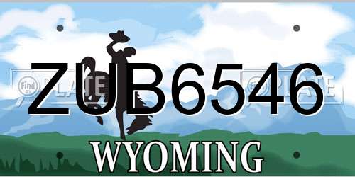 ZUB6546 Wyoming License Plate