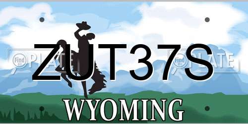 ZUT37S Wyoming License Plate