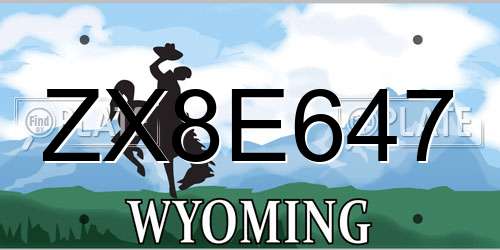 ZX8E647 Wyoming License Plate
