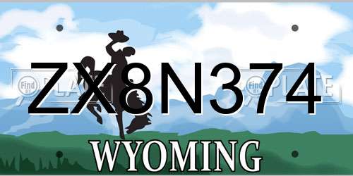 ZX8N374 Wyoming License Plate