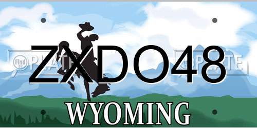 ZXDO48 Wyoming License Plate