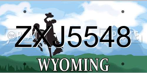 ZXJ5548 Wyoming License Plate
