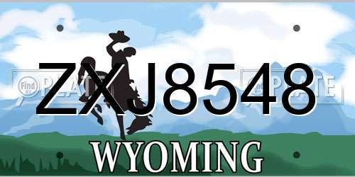 ZXJ8548 Wyoming License Plate