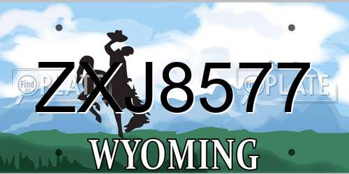 ZXJ8577 Wyoming License Plate