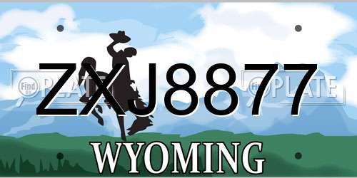 ZXJ8877 Wyoming License Plate