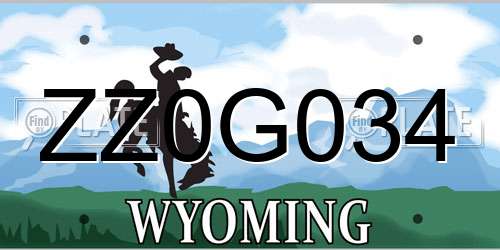 ZZ0G034 Wyoming License Plate
