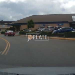 ALB8637 WA License Plate