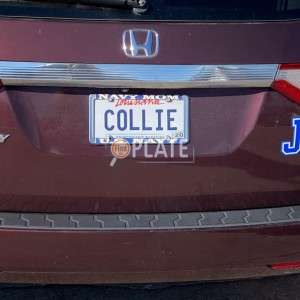 COLLIE LA License Plate