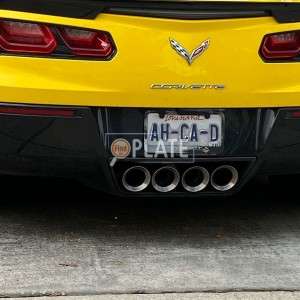 AHCAD LA License Plate