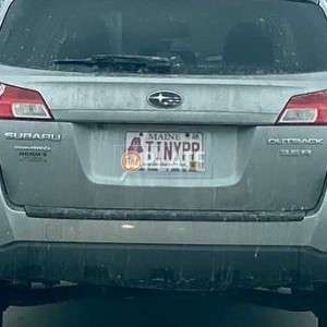 TINYPP ME License Plate