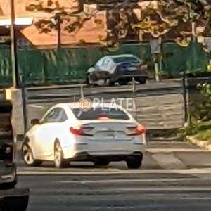 Fdn5067 NY