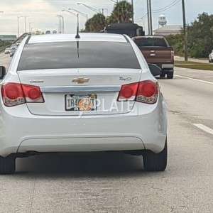 IR44WT FL License Plate