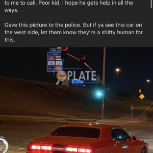 BAL8292 AZ License Plate