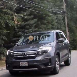 2NPS44 MA License Plate
