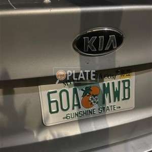 60AMWB FL License Plate