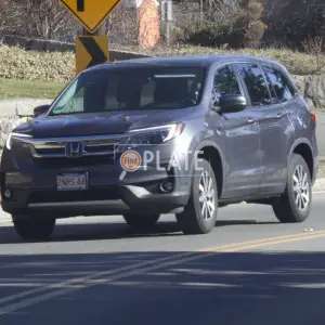 2NPS44 MA License Plate