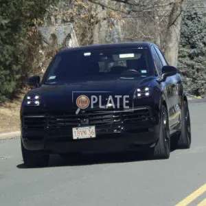 1BVN36 MA License Plate
