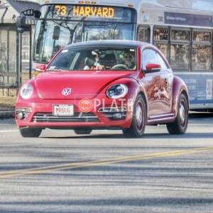 MRBUG MA License Plate