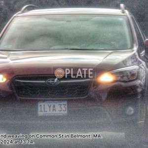 1LYA33 MA License Plate