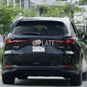 991NL7 MA License Plate