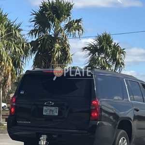 HNTM74 FL License Plate