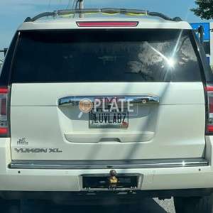LUVLABZ ME License Plate
